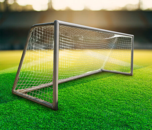 Junior Goal Post